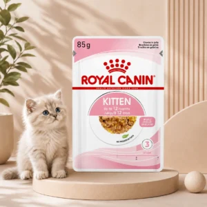 Royal Canin Kitten in Jelly wet cat food pouch for healthy kitten growth