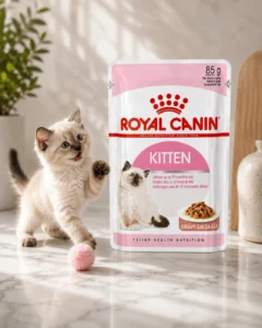 Royal Canin Kitten in Gravy wet cat food pouch for kittens