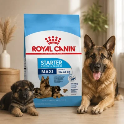 Royal Canin Maxi Starter Dog Food available on primepets.pk
