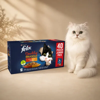 Felix As Good As It Looks Doubly Delicious Cat Food Meat 12x100g